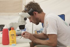 Jim de Fouw