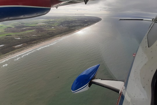 Common scoter aerial surveys in the context of Spisula fishery