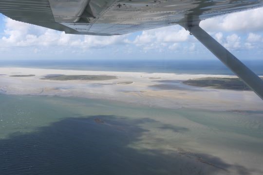 Watervogeltellingen vanuit het vliegtuig in het Waddengebied