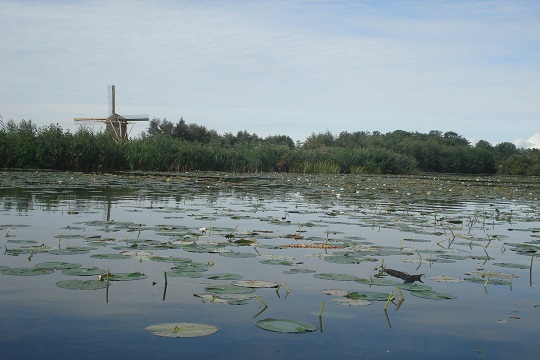 Opportunities for nature and recreation at Fort Abcoude